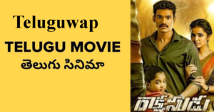 Teluguwap 2021 – Illegal HD Movies Download Website