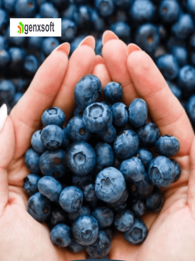 Benefits of Blueberries: Discover Their Amazing Health Perks