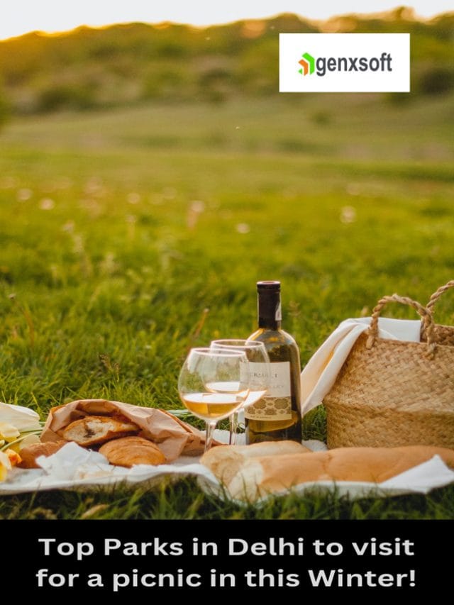 Top Parks in Delhi: Perfect Winter Picnic Spots!