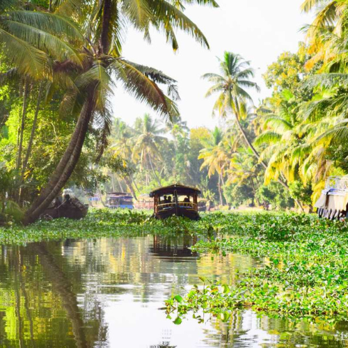 Alleppey