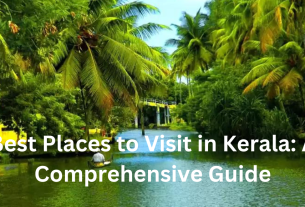 Best Places to Visit in Kerala A Comprehensive Guide