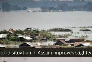 Flood situation in Assam improves slightly