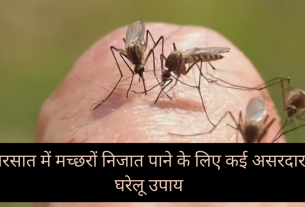 Home Remedies for Mosquitoes