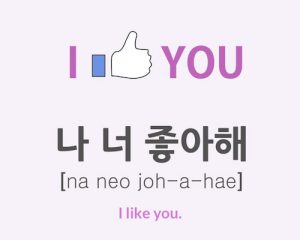 Joahae – I like you