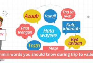 Kashmiri words you should know during trip to valley