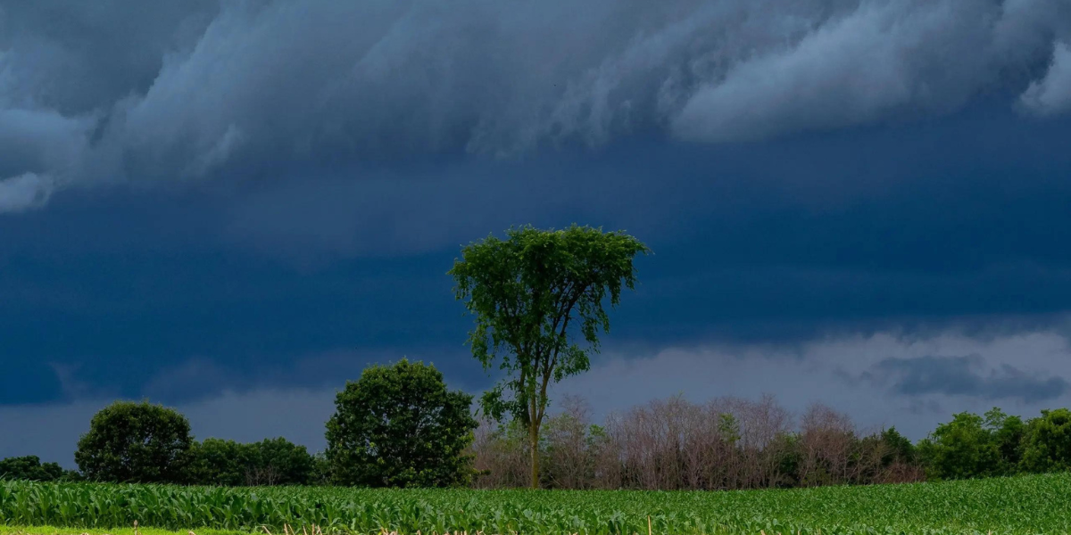 Monsoon: Heavy rainfall in several states, flash floods in a few ones