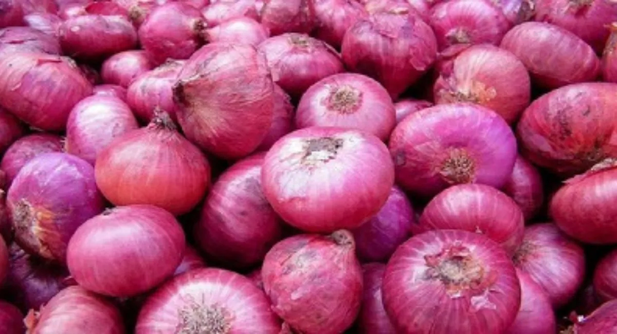 Onion Prices