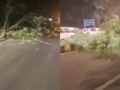 Delhi Storm Toll
