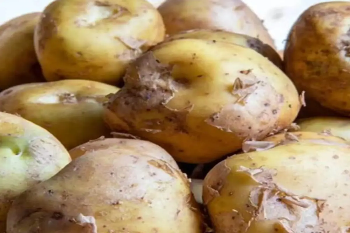 Most Expensive Potato