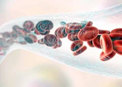 Blood Formation: How Bone Marrow Makes Blood Cells