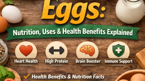 Egg Benefits